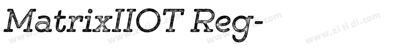 MatrixIIOT Reg字体转换